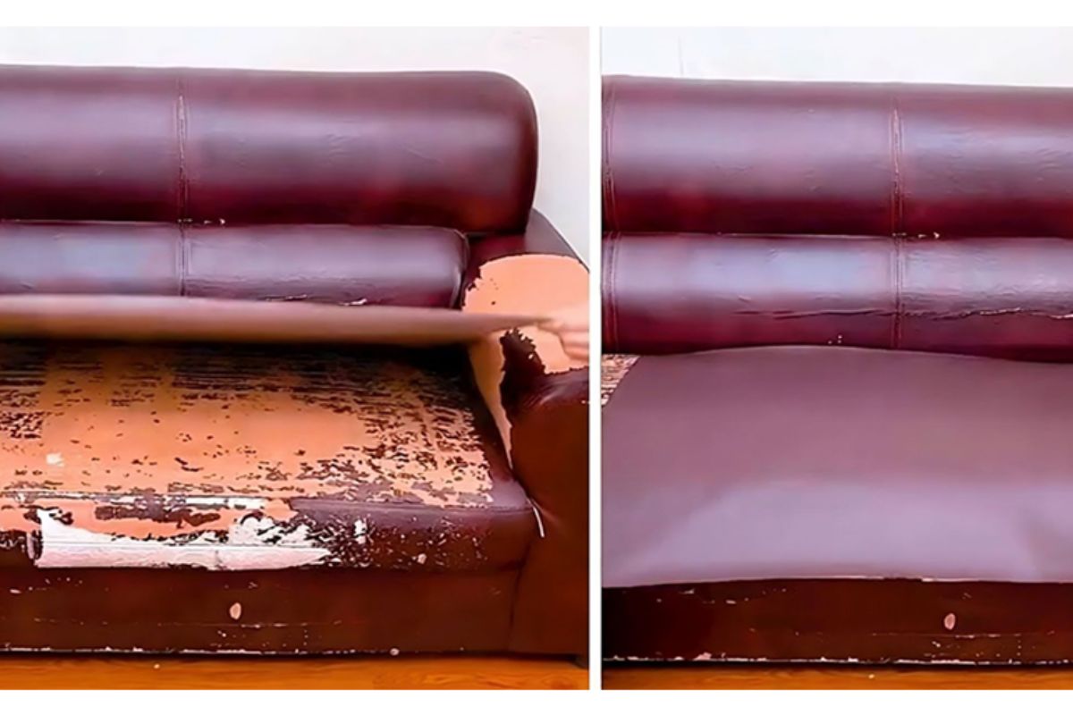  Leather Sofa Repairing